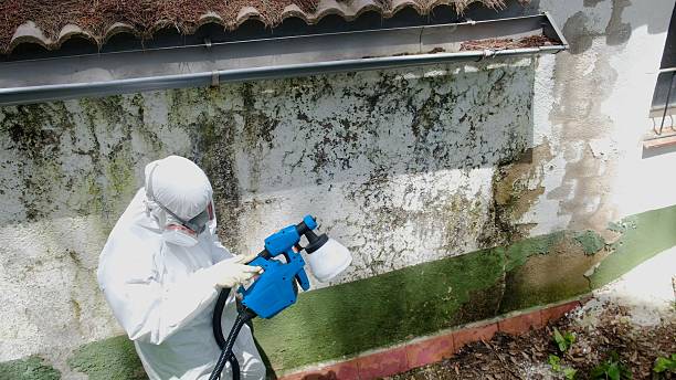 Top rated local Mold Inspection And Testing specialists in Grampian, PA